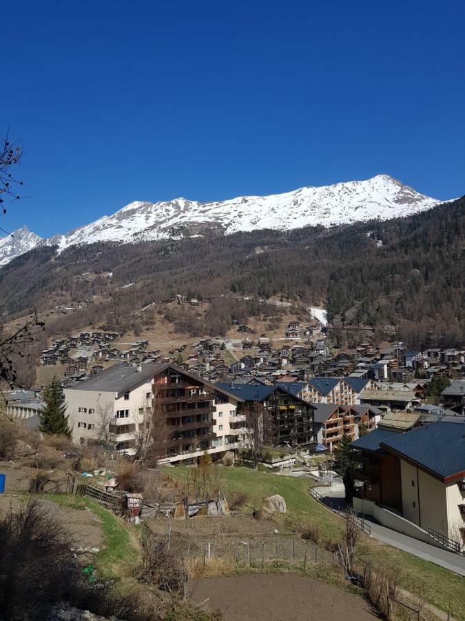 Ferienwohnung Zayetta Ice Cube Nr. 11 Zermatt Buitenkant foto